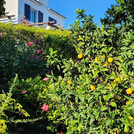 Apartament Elena Flat Lovely Paradise Above The Sea Sitio de Calahonda